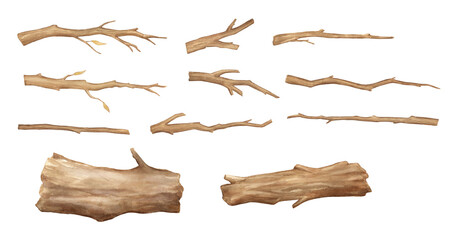 Watercolor tree and branch set, wood trunk isolated on white background. Hand painted illustrations