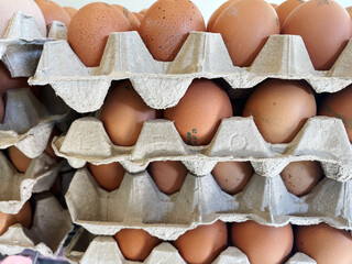 A close-up, stacked view of numerous brown chicken eggs in grey cardboard cartons, showcasing fresh...