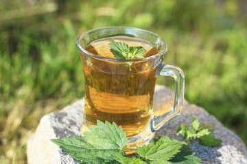 Nettle tea made from nettles Urtica dioica. Herbal tea with fresh nettle leaves on stone in the garden.