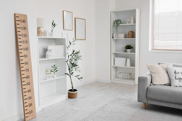 Interior of modern living room with sofa, shelving units and wooden stadiometer
