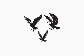 Obraz premium Gull bird vector silhouettes image made by adobe illustrator. eps