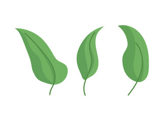 Leaves. Flat vector clipart, illustration with isolated background.
