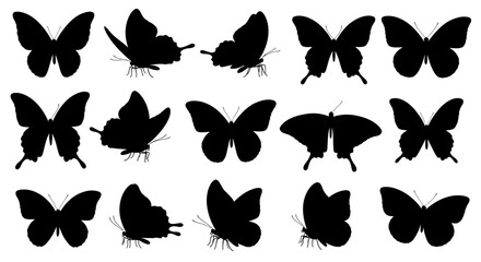 Collection of Black Butterfly Silhouettes in Various Angles © Pemburu