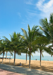 Tropical natural Mexican palm trees with coconuts and blue sky background at Tulum ruins archeological site in Tulum Mexico.	