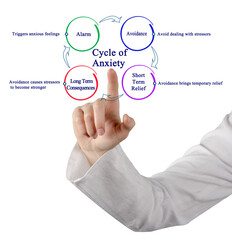 Components of Cycle of Anxiety