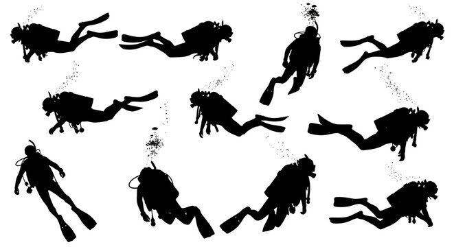 Silhouetted Scuba Divers Swimming Underwater with Bubbles
