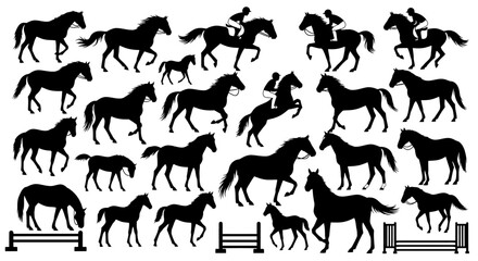 Fototapeta premium Diverse Horse Silhouettes in Various Actions