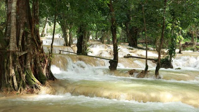 tad sae waterfall in luangprabang
