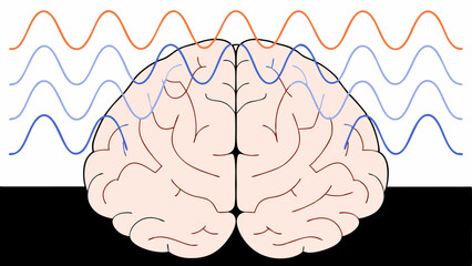 Brain Waves, Brain Activity, EEG