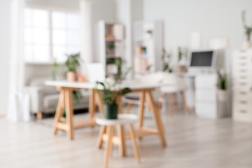 Blurred view of office with desks, green houseplants and sofa