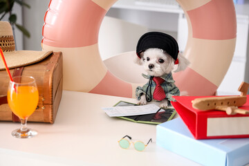 Funny business Maltese dog with swim ring ready for summer vacation in office