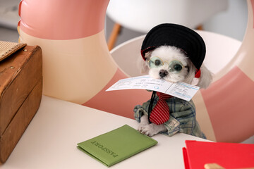 Funny business Maltese dog with ticket ready for summer vacation in office