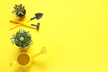 Potted plants and gardening tools on yellow background