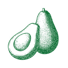 Hand-drawn avocado illustration whole and sliced fruit