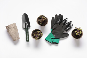 Peat pots with plants, gardening, shovel and gloves on white background