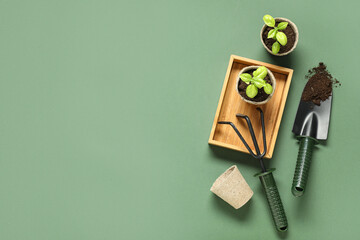 Peat pots with basil, gardening tools and soil on green background