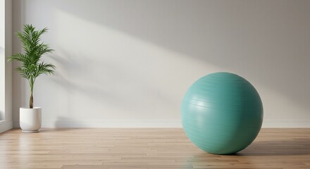  A exercise ball in a clean, sunny room 