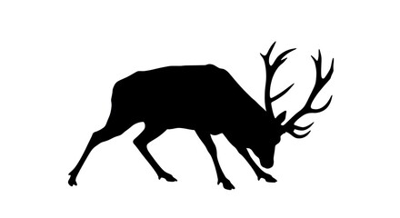vector art line of angry brave deer face with fire effect and siluet effect suitable for mockup and logo product of team isolated white background