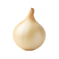 Fototapeta premium Fresh White Onion on Isolated Background for Culinary and Food Preparation Use Transparent background or png