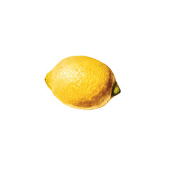 Single Ripe Lemon Isolated on Black Background
