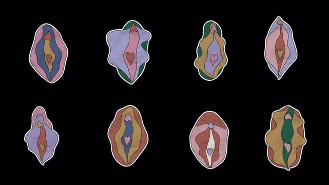 Set of unfolded paper stickers featuring the female reproductive system and vulva on transparent background for anatomy and educational purposes