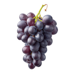 Fototapeta premium Fresh Purple Grapes Cluster Isolated on White Background Natural Organic Fruit for Health and Nutrition Concepts Transparent background or png
