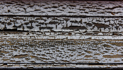 Detail of an old wood with cracked paint