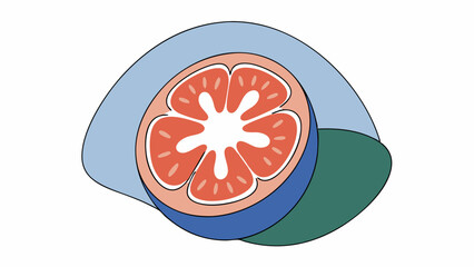 Abstract Pomelo Slice Illustration