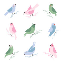 Hand drawn birds large set. Colorful spring bird sitting on a tree branch.