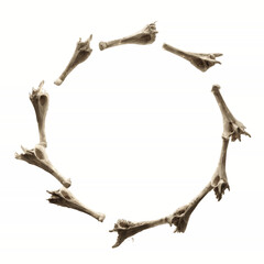 Abstract Circular Arrangement of Chicken Bones on a Vibrant Yellow and Gray Background