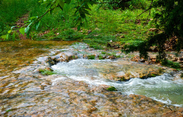 Cascading pool encircles rock crevice