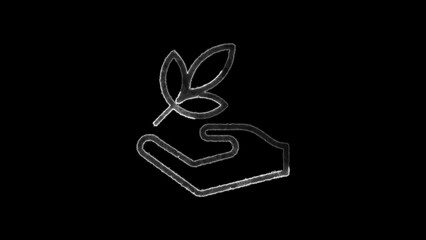 Hand protecting leafy branch symbolizing growth and sustainability on black background