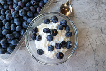A Fresh Bowl Of Cottage Cheese And Blueberries