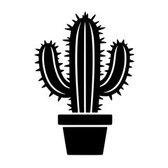 cactus in a pot