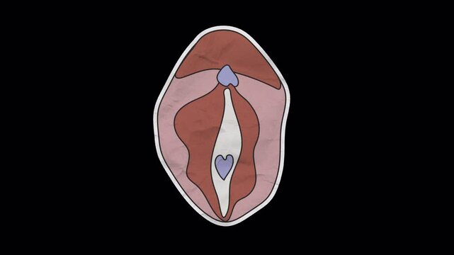Unfolded paper sticker of the female reproductive system featuring the vulva on transparent background designed for anatomy or educational visuals