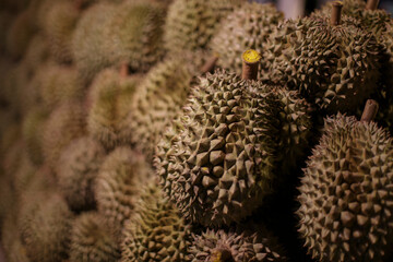 Durians piled up in patterns at Chiang Mai Market, Thailand. Thai fruits from orchard owners are...