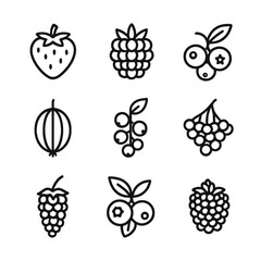 Berry Harvest Icons. Outline icon set of May berry harvest: strawberries, raspberries, blueberries, gooseberries, currants,