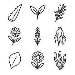 Botanical Extract Icons. Outline icon set of botanical extract rejuvenation: aloe vera leaf, green tea leaf, rosemary sprig,
