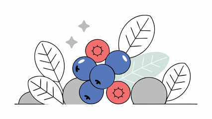 Blueberry and Raspberry Illustration