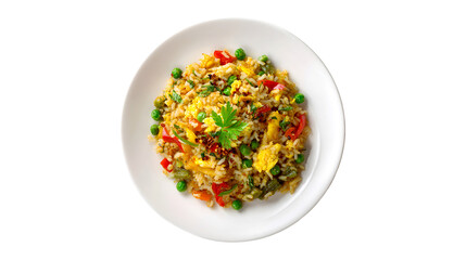 Delicious Vegetable Fried Rice Egg Garnish White Plate