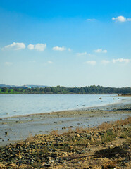 Lake Larnaka ob Cyprus.
