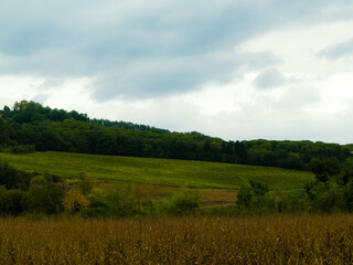 Tuscan field on a cloudy day