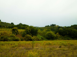 Tuscan field on a cloudy day
