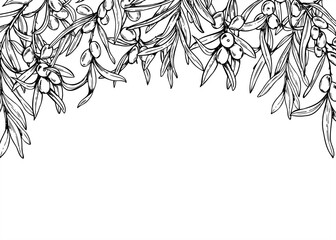 Monochrome sea buckthorn Horizontal rectangular border in vector linear style. Nordic berries realistic graphic sketch for wedding invitation, cosmetic packaging, menu design, book cover, stationery