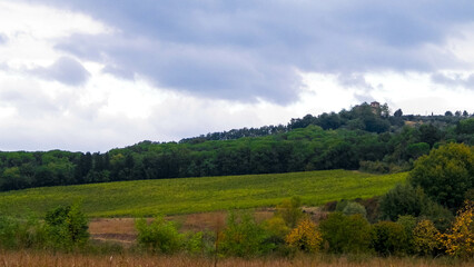 Tuscan field on a cloudy day
