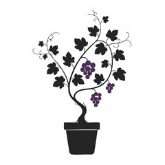 Stylized Grapevine Silhouette with Purple Grapes in a Black Pot