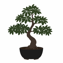 Obraz premium Serene Bonsai Tree with Dark Pot and Lush Foliage