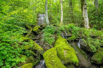 Naklejka premium mountain views