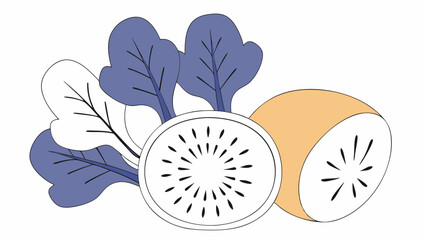 Kiwi Fruit with Leaves