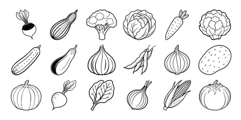 Collection of line art vegetables radishes zucchini broccoli cabbage carrots cauliflower cucumbers eggplant garlic peas onions potatoes pumpkins beets spinach corn